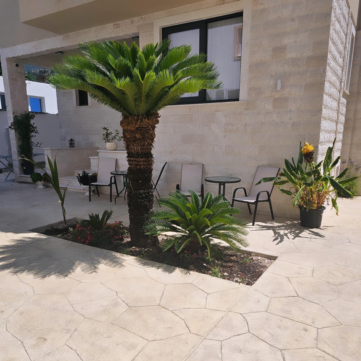 La Vida Apartments Budva Exteriér fotografie